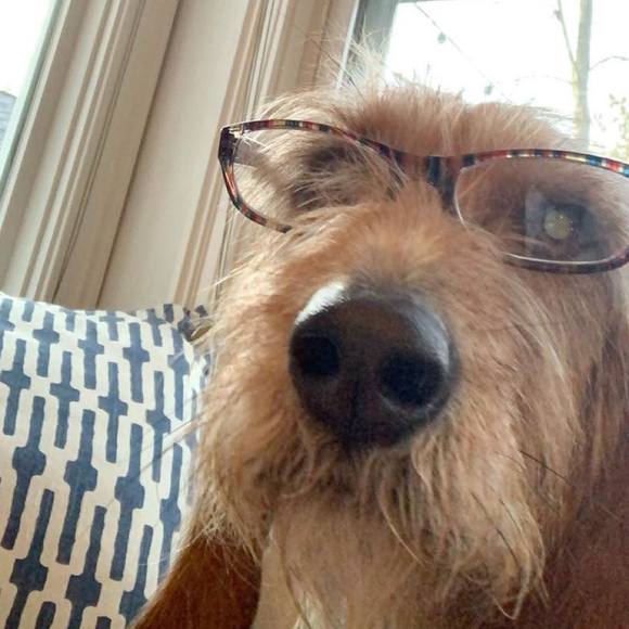 Meet your Posher, Paula - Picture 1 of 1